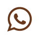 icon whatsapp